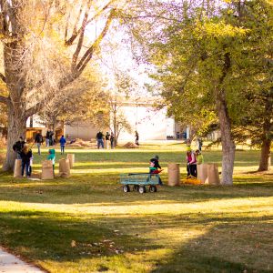 2018_rake_up_boise_0001_Layer 13