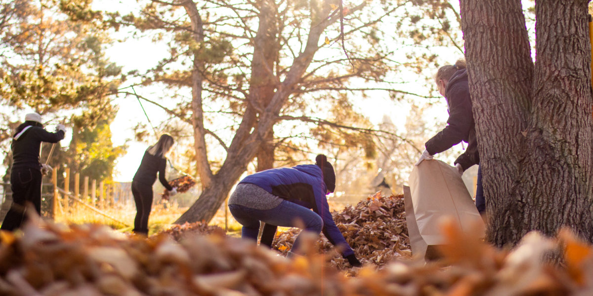 2018_rake_up_boise_0005_Layer 9