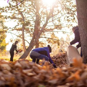 2018_rake_up_boise_0005_Layer 9