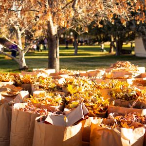 2018_rake_up_boise_0010_Layer 4