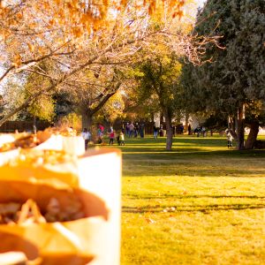 2018_rake_up_boise_0011_Layer 3