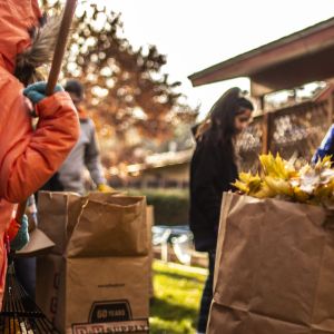 2019_rake_up_boise_0014_Layer 4