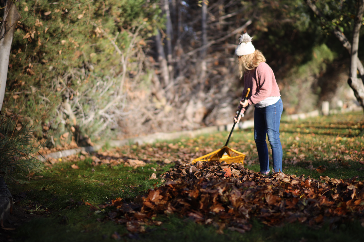 2021-rake-up-boise-intermountain-gas-company